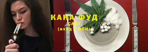 дживик Абаза