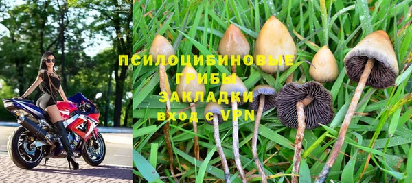 дживик Абаза