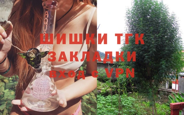 дживик Абаза