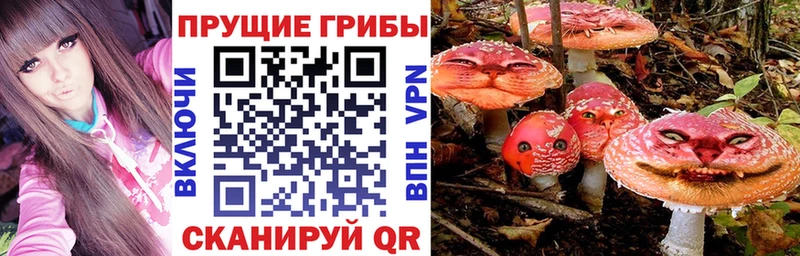 Галлюциногенные грибы GOLDEN TEACHER  цены   Нижнекамск 