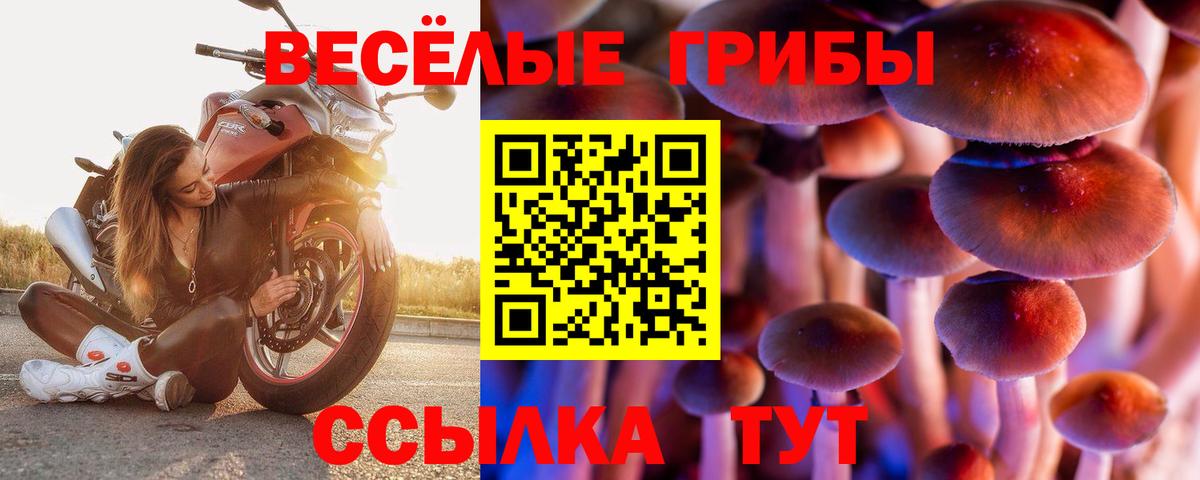 Псилоцибиновые грибы GOLDEN TEACHER  Псилоцибиновые грибы Psilocybe  Нижнекамск  Вход с VPN 