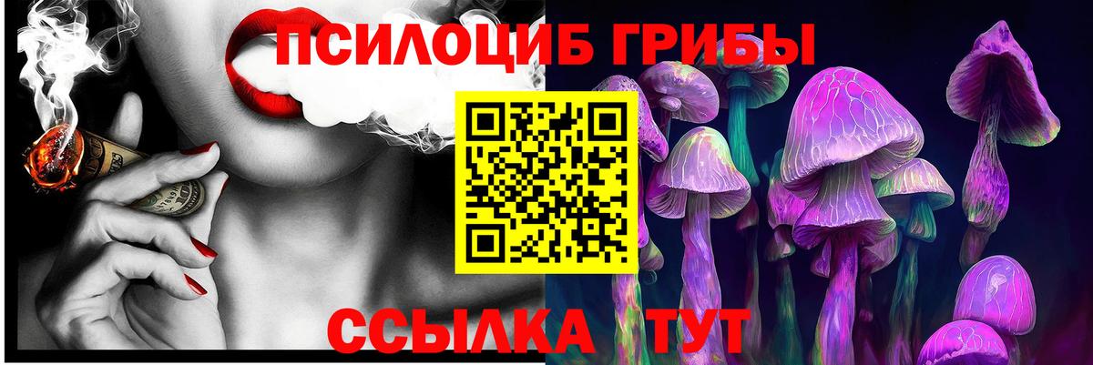 Псилоцибиновые грибы Cubensis Нижнекамск